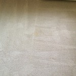 Carpet Cleaning Walnut Creek _7419