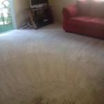 Living Room Carpet Cleaning Walnut Creek 950142