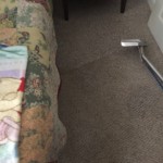 Walnut Creek Bedroom Carpet Cleaning  _7391